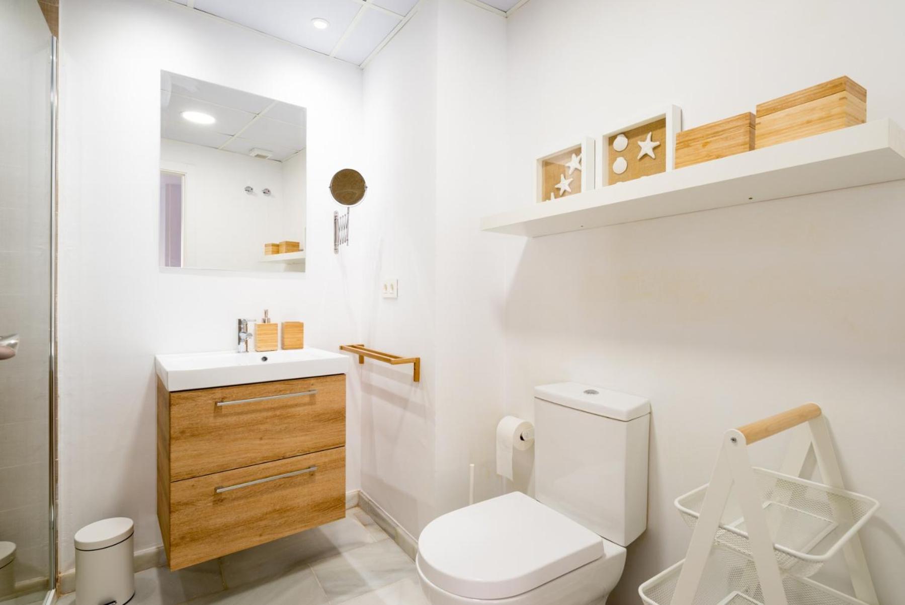 Santiago Premium Loft Ii