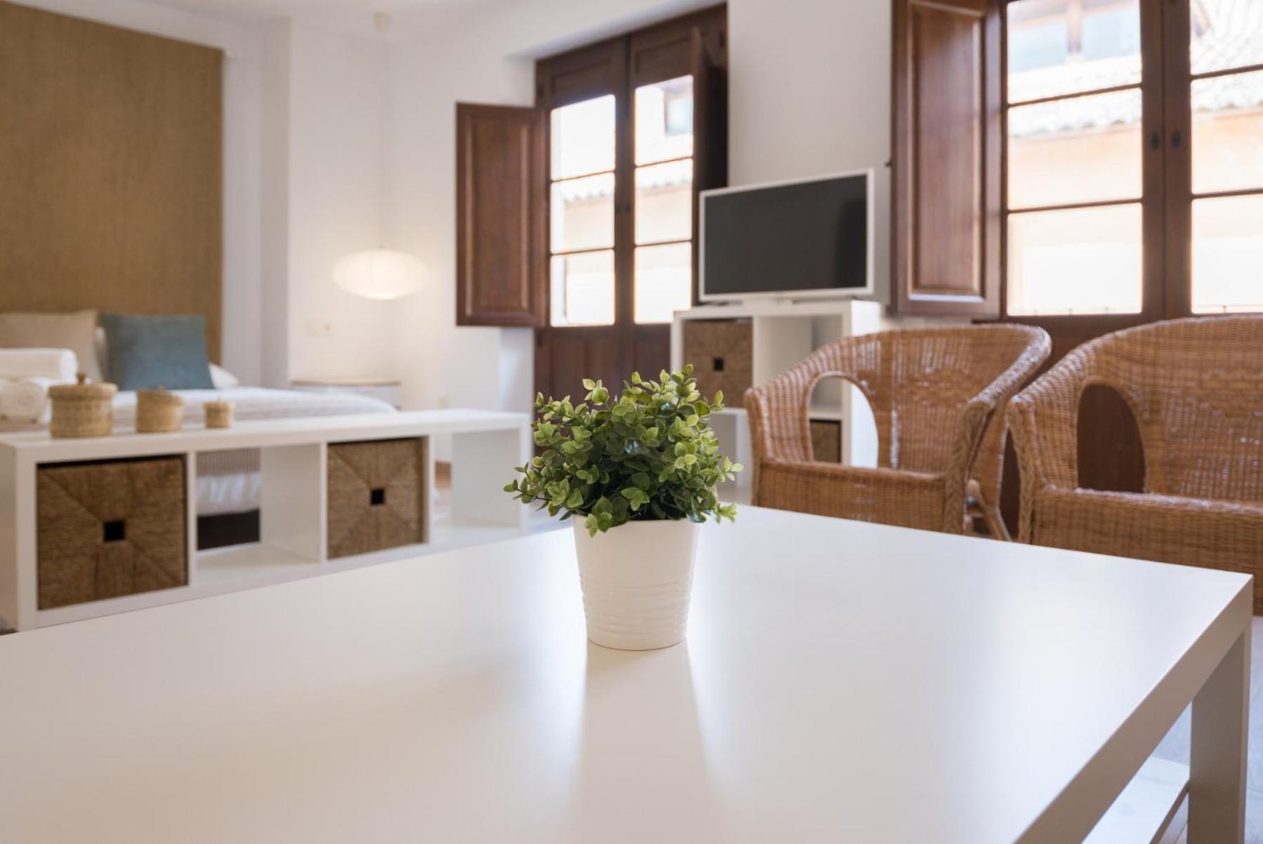 Santiago Premium Loft Ii Apartment Malaga